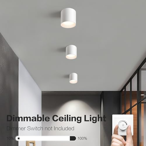 White Hallway Flush Mount Ceiling Light Fixtures for Kitchen Entryway