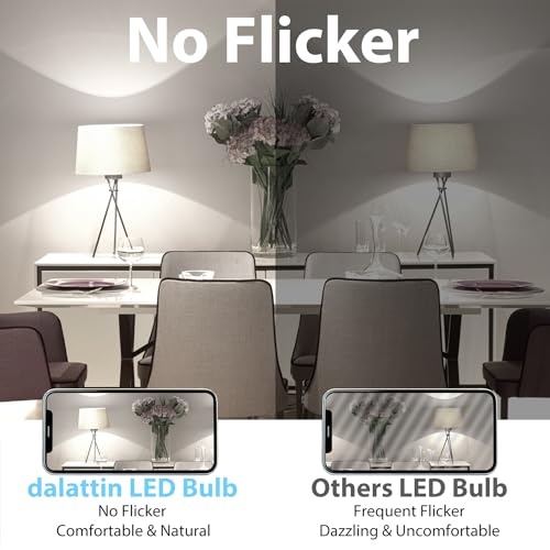 A19 LED Bulbs (12 Count)