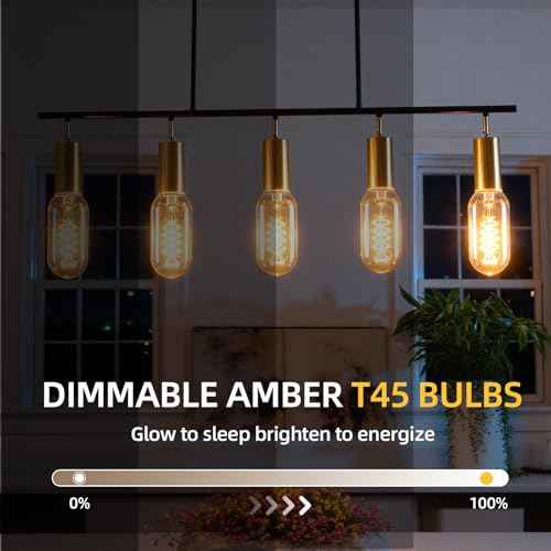 T45 Edison Bulbs 25 Watt Vintage Edison Light Bulbs Dimmable E26 Base Antique Filament Light Bulbs Amber Glass 2200K Warm White 110 (4 Count)