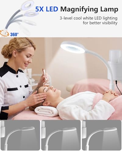 Professional Facial Steamer with 5X LED Magnifying Lamp 4 in 1