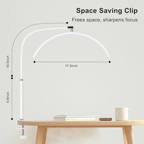 Professional Half Moon LED Desk Light for Nail Techs & Artists