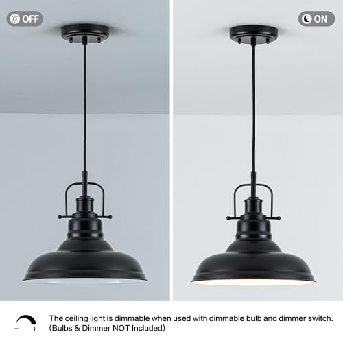 Famrhouse Pendant Light