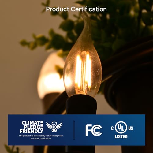 3000K Warm White LED Chandelier Edison Bulbs (24 Count)