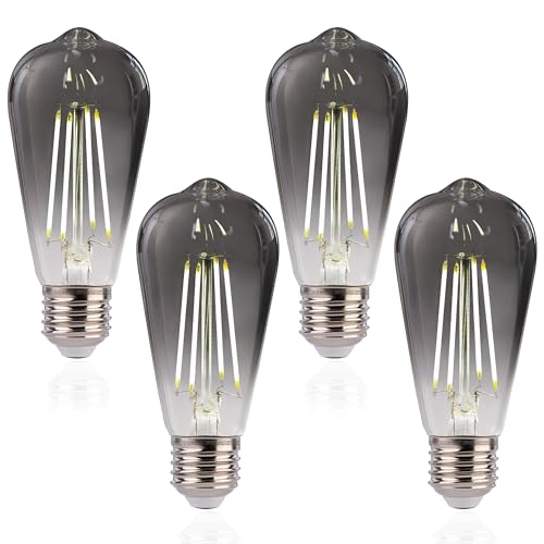 LED Edison Bulbs (4 Count)