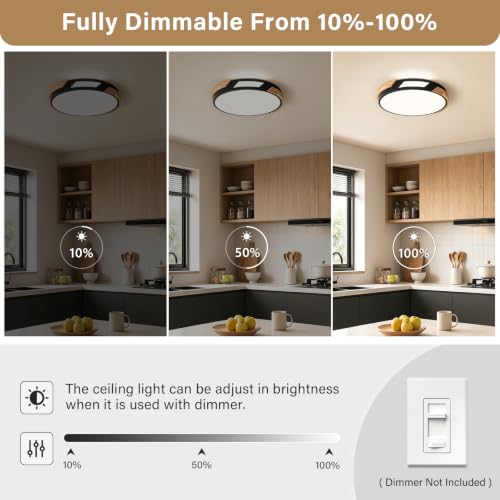 Modern LED Ceiling Light