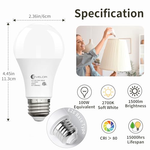A19 LED Light Bulbs (4 Count)