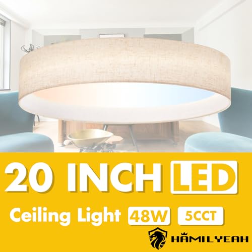 LED Flush Mount Ceiling Light 20 inch