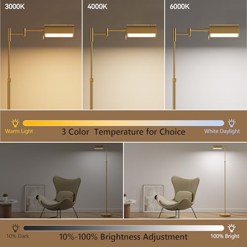 Dimmable LED Pharmacy Floor Lamps