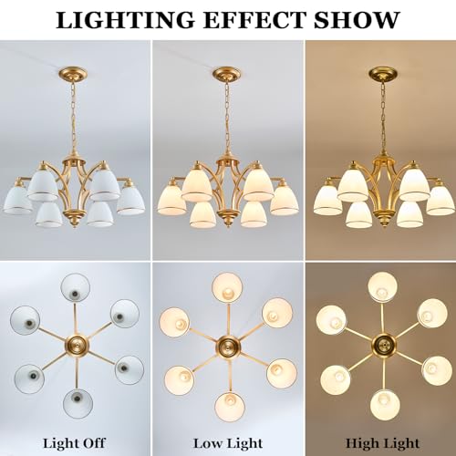 6 Light Modern Gold Chandelier with Frosted Glass Lampshade Height Adjustable Max 47" Hanging Ceilling Light for Dining Room Entryway Hallway Kitchen Foyer