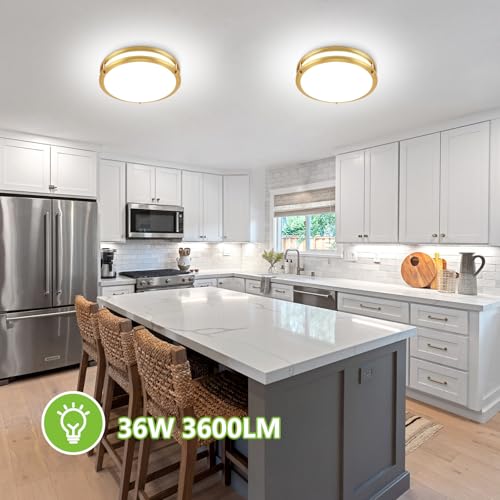 13inch LED Flush Mount Ceiling Light Fixture Dimmable Gold (2 Count)