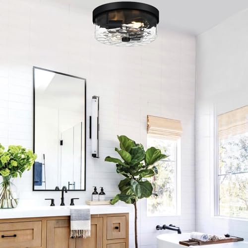 Flush Mount Ceiling Light Fixtures