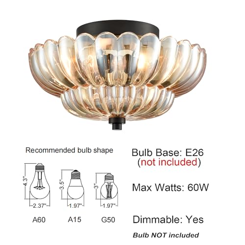 Modern Black Flush Mount Ceiling Light 3