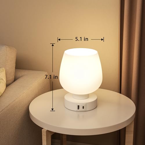 Touch Table Lamp for Nightstand Set of 2 (2 Count)