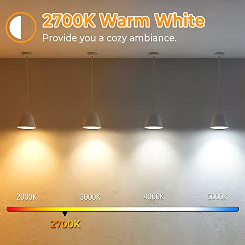 Vintage LED Edison Bulbs 60W Equivalent (8 Count)