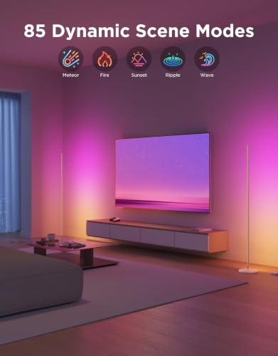 RGBIC Floor Lamp Basic