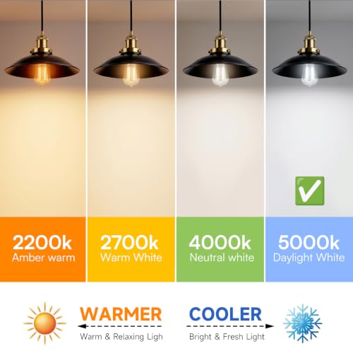Vintage Edison LED Light Bulbs (4 Count)