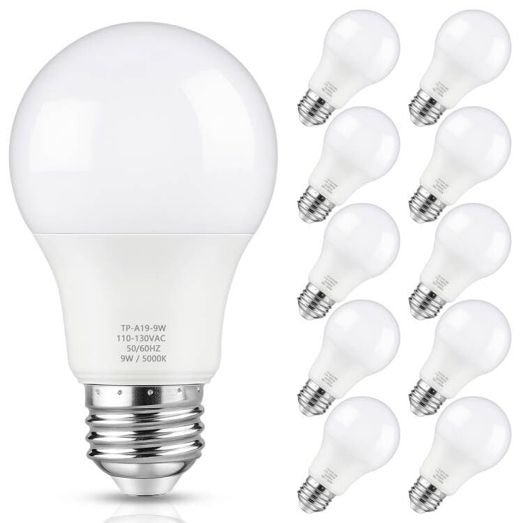 A19 LED Light Bulbs (10 Count)