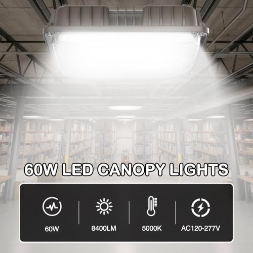 LED Canopy Lights