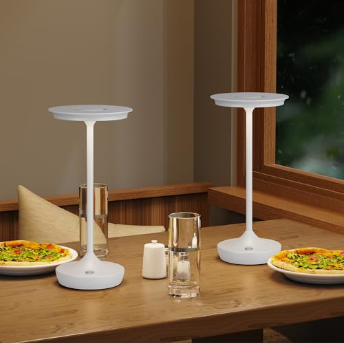 LED Rechargeable Cordless Outdoor 6000mAh Battery Table Lamp 2 (2 Count)
