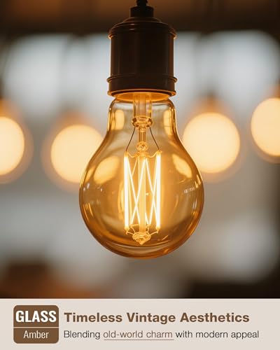 A19 Amber Edison Bulbs (6 Count)