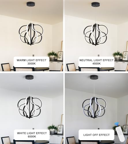 Modern Black LED Chandelier Ceiling Light Fixture