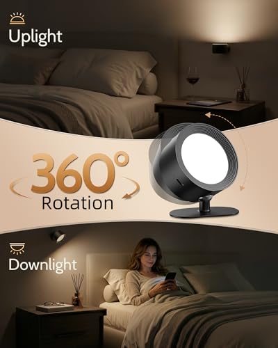 LED Wall Mounted Lights (2 Count)