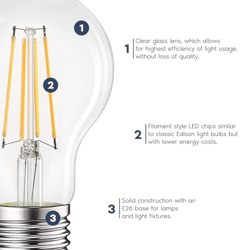 Vintage A19 LED Light Bulbs 60W Equivalent (4 Count)