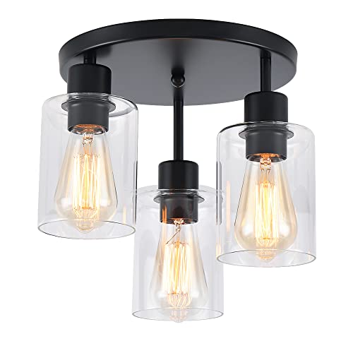 3 Light Industrial Farmhouse Black Matte Light Fixtures Ceiling Mount (3 Count)