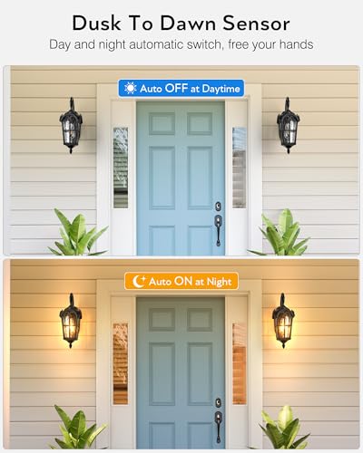 Black 2 Pack Outdoor Porch Lights (2 Count)
