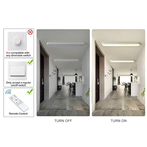 LED Ceiling Light