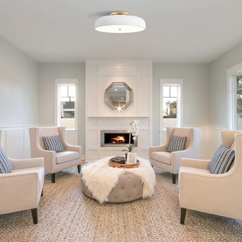 Dimmable LED Ceiling Light Fixture