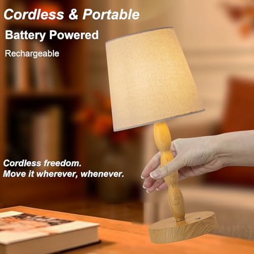 Rechargeable Cordless Table Lamp