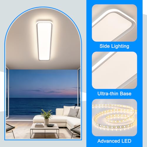 Modern LED Ceiling Light