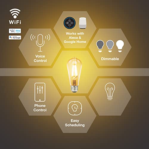 Sylvania WiFi LED Smart ST19 Amber Finish Light Bulb