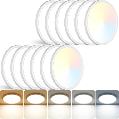 12 inch LED Ceiling Light (12 Count)