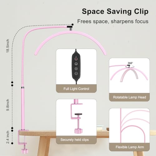 Professional Half Moon LED Desk Light for Nail Techs & Artists