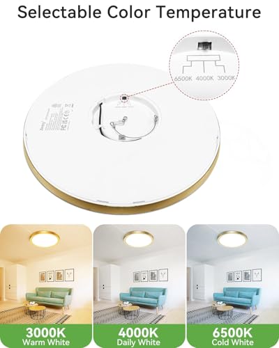 2Pack LED Ceiling Light Golden (2 Count)