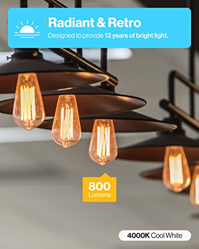 Sunco 16 Pack Edison Bulbs LED ST64 (16 Count)