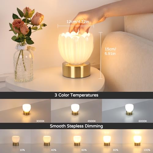 Cordless Small Table Lamp with 5200mAh Battery & Touch Control