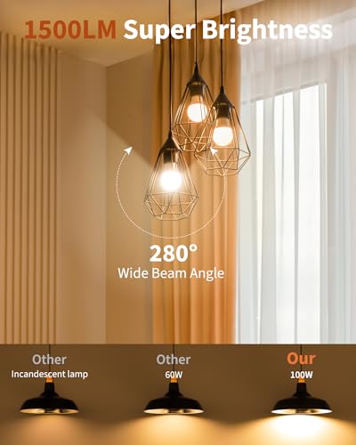 12 Pack LED Light Bulbs 100 Watt Equivalent (12 Count)