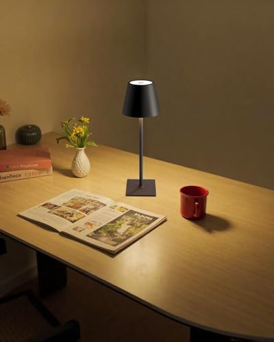 2 Pack Cordless Black Table Lamps (2 Count)