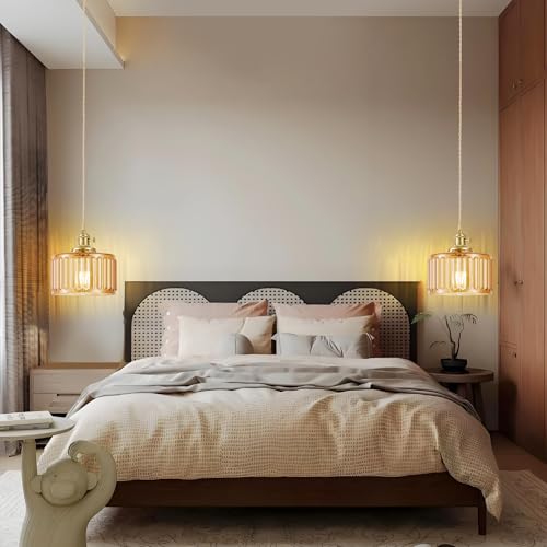 Plug in Pendant Light