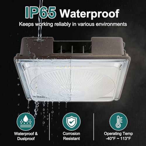 60W LED Canopy Light