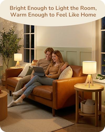 Small Cute Table Lamp