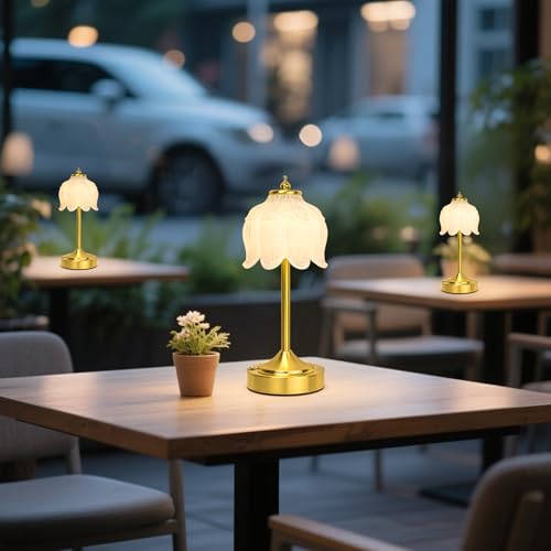 Cordless Table Lamp