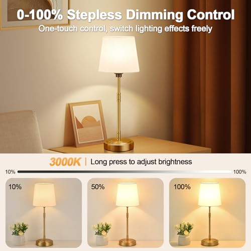 Cordless Table Lamps Set of 2 (2 Count)