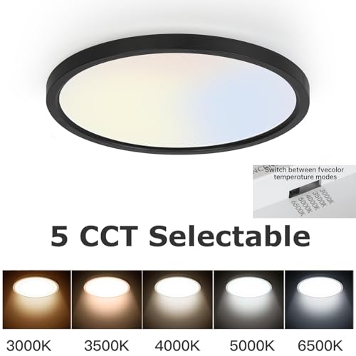 10 Inch LED Flush Mount Ceiling Light Fixture