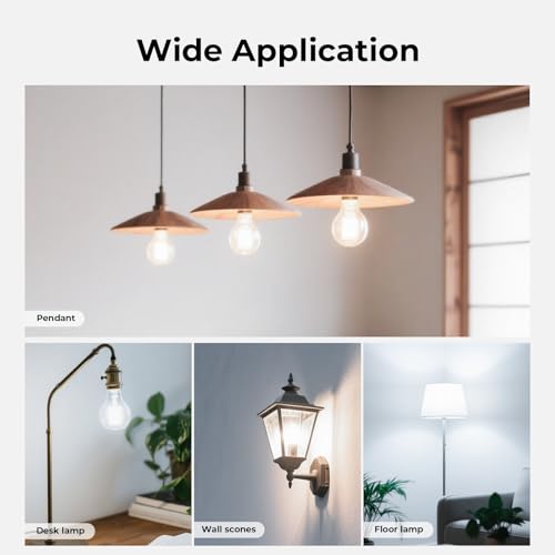 Dimmable A19 E26 Edison Bulbs 60 watt Equivalent (24 Count)