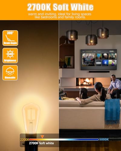24 Pack Vintage LED Edison Bulbs (24 Count)
