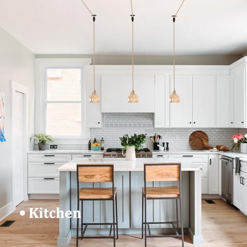 Plug in Pendant Light Hanging Light Fixture Corded On